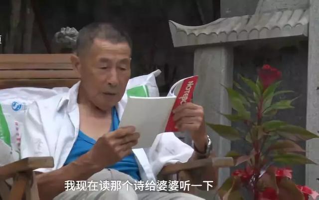 超越生命的愛！78歲爺爺守墓10年「陪伴已逝老伴」　天天風雨無阻「為她讀詩種花」：直到我走不動為止
