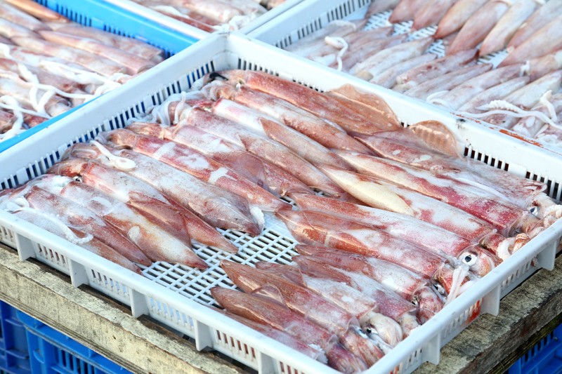 中獎了！菜市場買透抽「剝開後見3條鮮魚」大讚：有夠新鮮　　專業網友一看「老闆的心好黑」