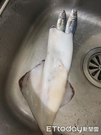 中獎了！菜市場買透抽「剝開後見3條鮮魚」大讚：有夠新鮮　　專業網友一看「老闆的心好黑」