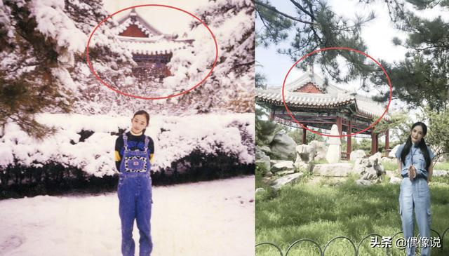 楊冪首曬童年照片，擺同款pose身高矚目，「嬌萌可愛的樣子」跟小糯米太像了：基因真是強大