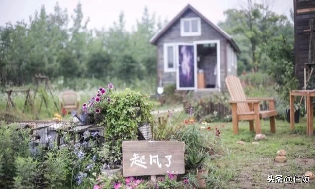 25歲患憂鬱「獨居1800畝廢棄農場」改造夢幻花園　「花能讓人快樂」逛完一圈豁然開朗