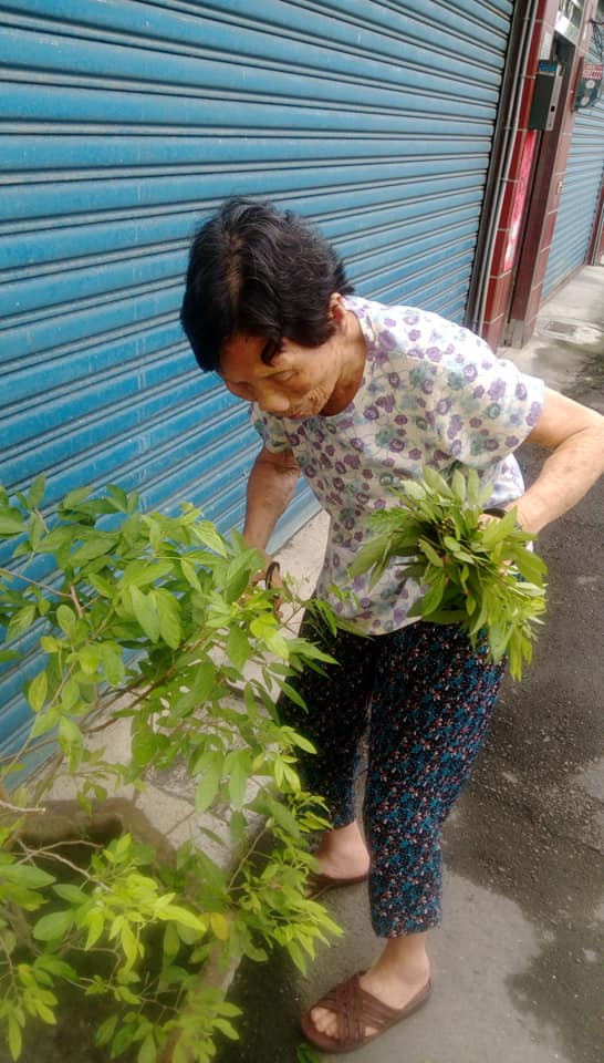 從沒染過頭髮！98歲阿嬤「頭毛烏黑茂密」身體還超硬朗　孫子曝凍齡秘訣：「不用花錢保養」