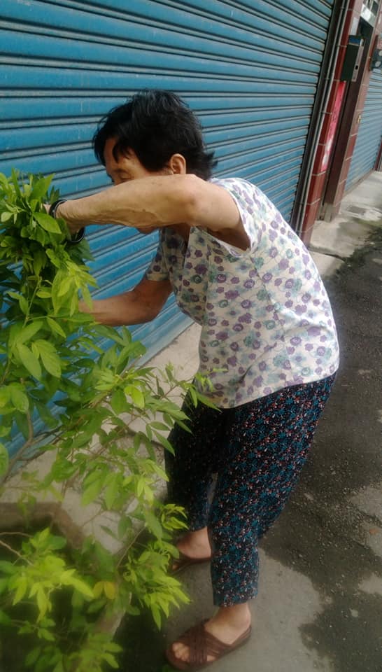 從沒染過頭髮！98歲阿嬤「頭毛烏黑茂密」身體還超硬朗　孫子曝凍齡秘訣：「不用花錢保養」
