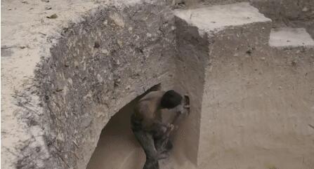 真人版「我的世界」!越南小哥徒手挖豪宅,還自帶泳池,惹6千萬網友羨慕:一級度假體驗