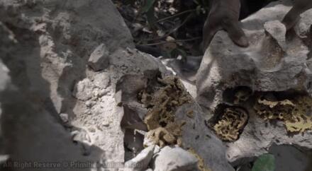 真人版「我的世界」!越南小哥徒手挖豪宅,還自帶泳池,惹6千萬網友羨慕:一級度假體驗