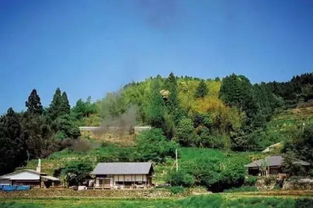 正值事業高峰卻隱居山林20年！60歲夫妻「自給自足」從青絲到白髮　活出「人間天堂」至今恩愛如昔