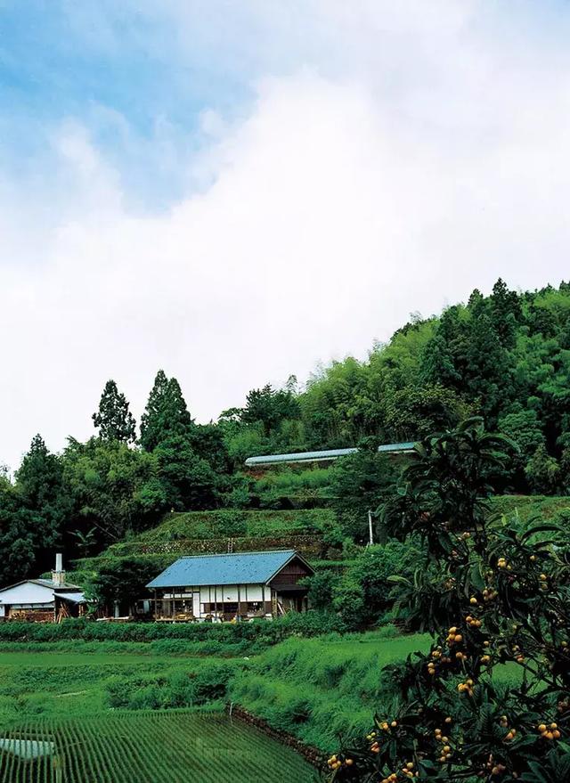 正值事業高峰卻隱居山林20年！60歲夫妻「自給自足」從青絲到白髮　活出「人間天堂」至今恩愛如昔