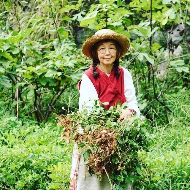 正值事業高峰卻隱居山林20年！60歲夫妻「自給自足」從青絲到白髮　活出「人間天堂」至今恩愛如昔