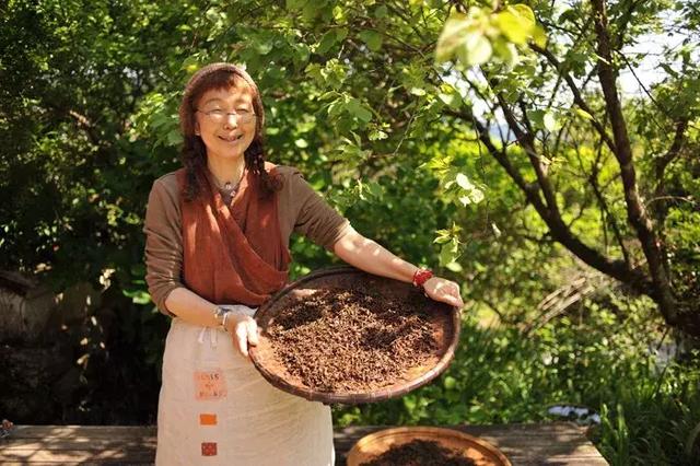 正值事業高峰卻隱居山林20年！60歲夫妻「自給自足」從青絲到白髮　活出「人間天堂」至今恩愛如昔