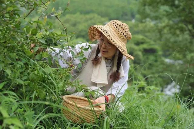 正值事業高峰卻隱居山林20年！60歲夫妻「自給自足」從青絲到白髮　活出「人間天堂」至今恩愛如昔