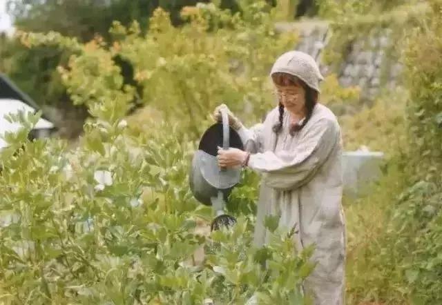 正值事業高峰卻隱居山林20年！60歲夫妻「自給自足」從青絲到白髮　活出「人間天堂」至今恩愛如昔