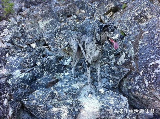眼見不一定為實！「13張錯覺照片」輕鬆一笑，證明我們有時不能太相信自己的眼睛