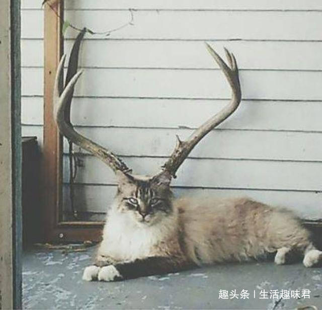 眼見不一定為實！「13張錯覺照片」輕鬆一笑，證明我們有時不能太相信自己的眼睛