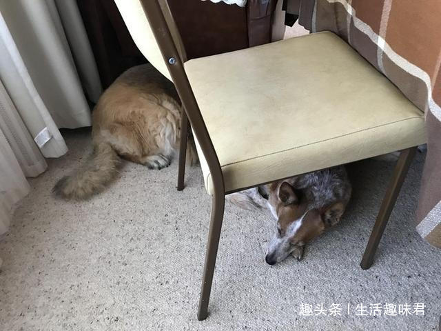 眼見不一定為實！「13張錯覺照片」輕鬆一笑，證明我們有時不能太相信自己的眼睛