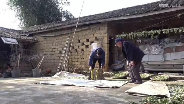 24歲男孩「隱居鄉村種田養雞」陪外公生活！祖孫天天「攜手唱歌做飯」享受日常：其實大家也做得到