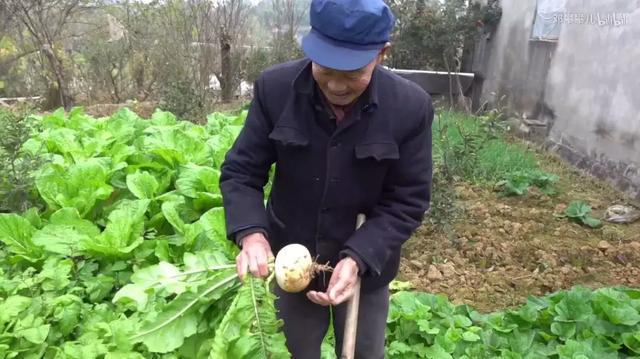 24歲男孩「隱居鄉村種田養雞」陪外公生活！祖孫天天「攜手唱歌做飯」享受日常：其實大家也做得到