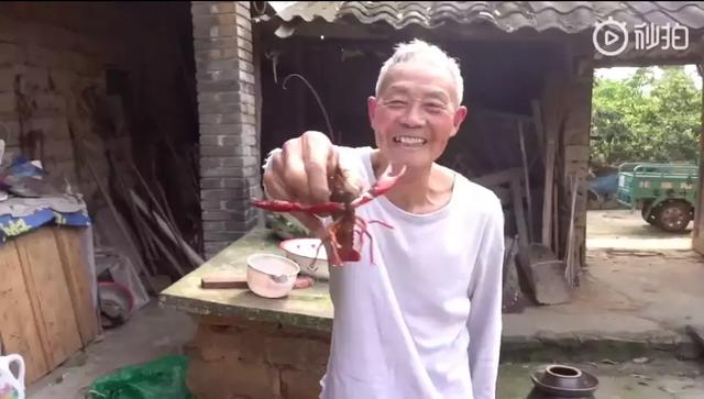 24歲男孩「隱居鄉村種田養雞」陪外公生活！祖孫天天「攜手唱歌做飯」享受日常：其實大家也做得到