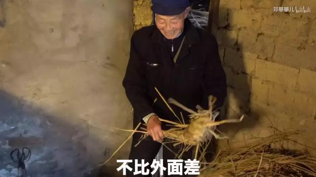 24歲男孩「隱居鄉村種田養雞」陪外公生活！祖孫天天「攜手唱歌做飯」享受日常：其實大家也做得到