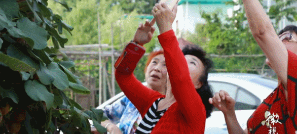 不給子女添麻煩！15位7旬老人「抱團養老」：一起住別墅「養雞種菜跳舞」