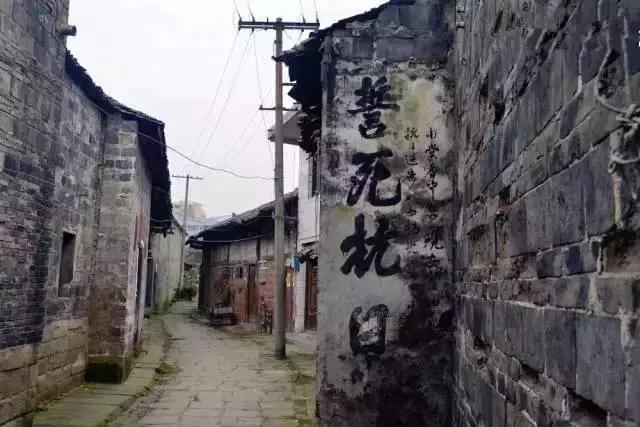 漂洋過海來看你！93歲阿嬤「苦尋初戀77年」　遠赴台灣只為看一眼他的名字：愛你怎能輕易忘記？