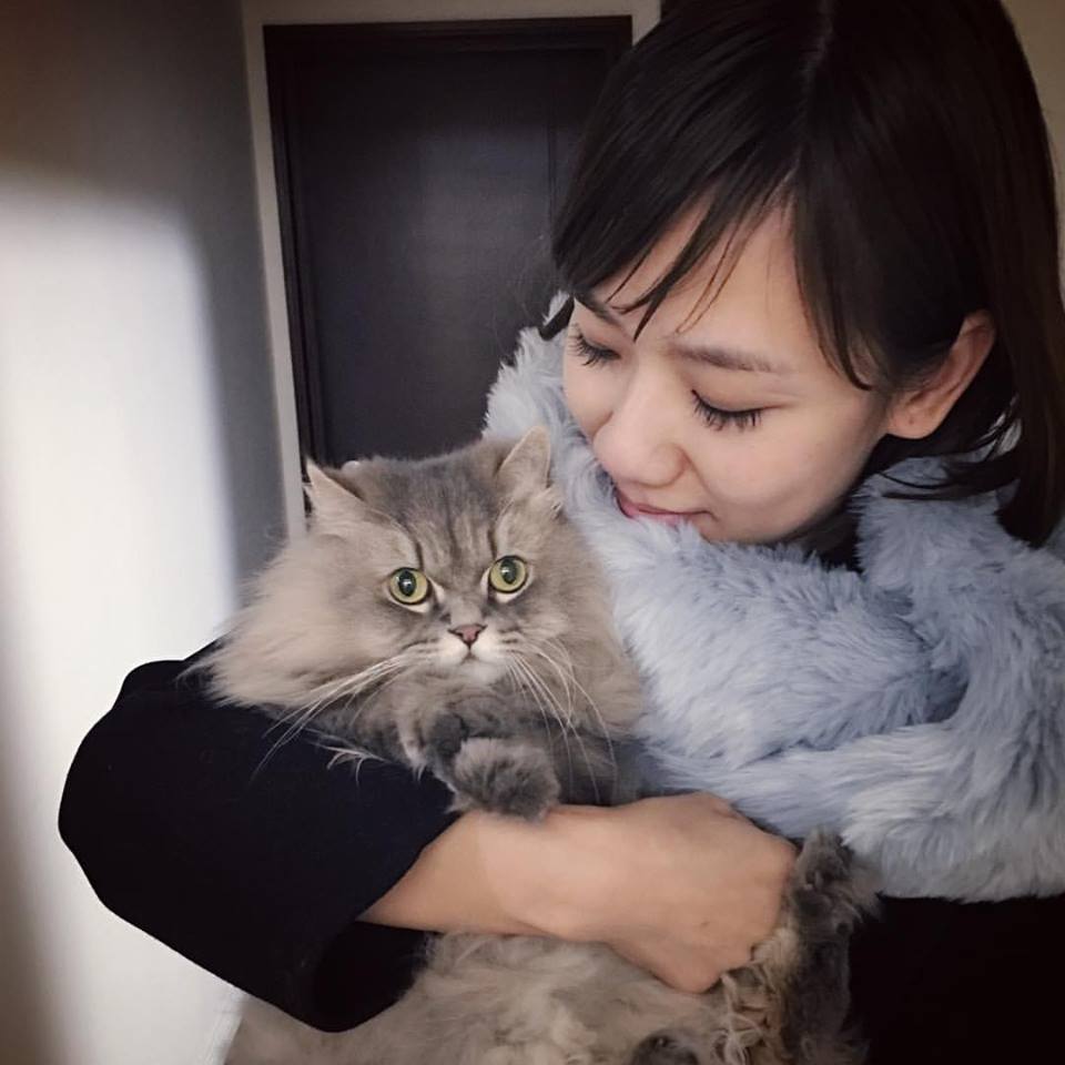 正宮才是狠角色！梁敏婷被嗆聲「全程高EQ反擊」沒在怕　被起底「多重身分超威」網：惹不起