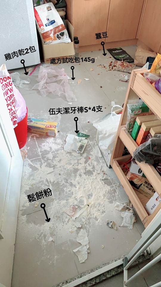 逛寵物店還「幫品檢」～阿金搖尾「巡視飼料區」每包聞透透...險逼媽吃土！