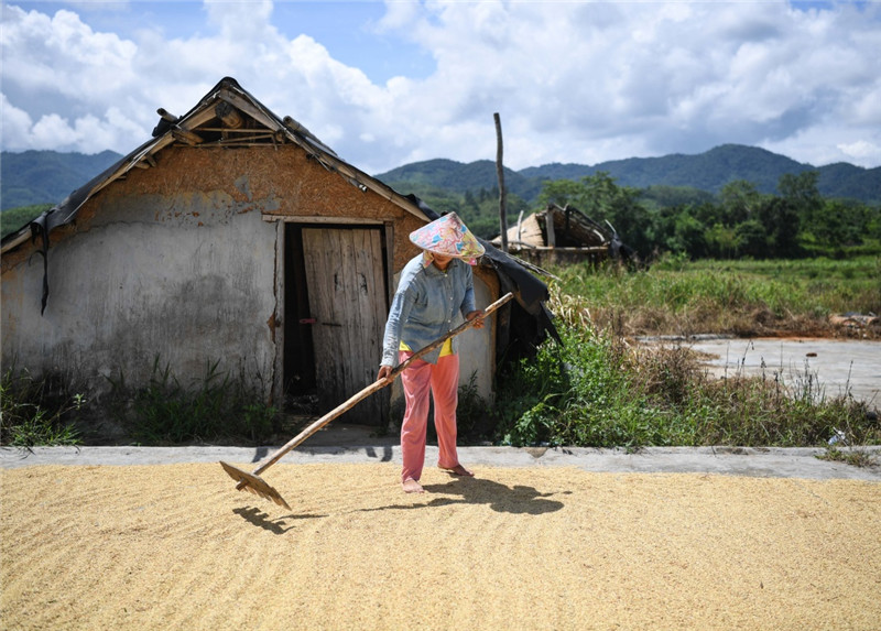 太偏心！奶奶住院孫女「掏了30萬」　老房拆遷後給孫子各一套房「只給孫女分一袋米」