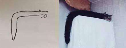 他「畫了一隻貓咪」被老師打0分！貓咪本尊現身老師認錯：給你100分