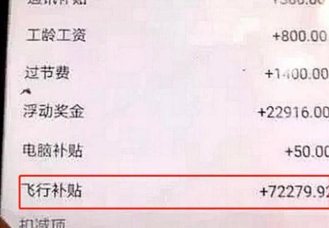 飛機機長的收入有多高？機長曬出了個人「工資單」　網友驚呆：再高都值得