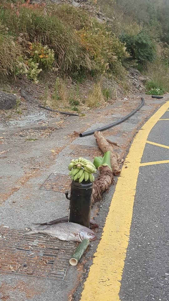 連假上武嶺跑山！沿途見「2串香蕉+2條魚」擺出奇特陣法　網友看完急勸「別碰快逃」：會被纏上的