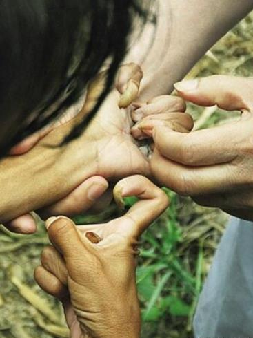 隱居深山20年！兄妹兩人厭倦世間生活「隱居山林吃野菜」，雙手變「鷹爪」，如今終於第一次洗澡！