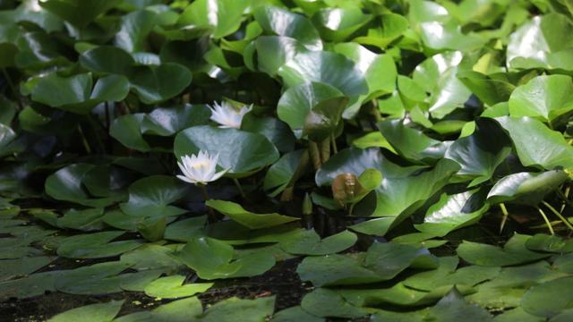 最幸福友情是「多年之後回頭你還在」：不用形影不離，但一定要惺惺相惜