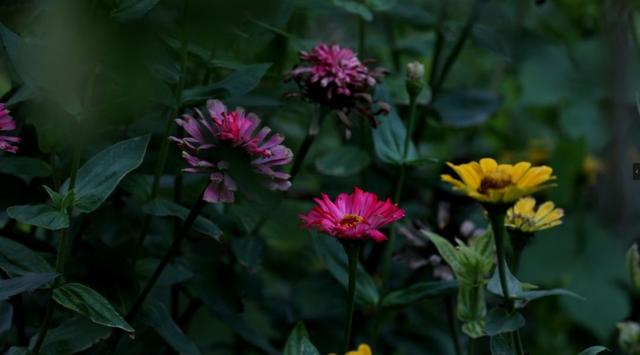 最幸福友情是「多年之後回頭你還在」：不用形影不離，但一定要惺惺相惜