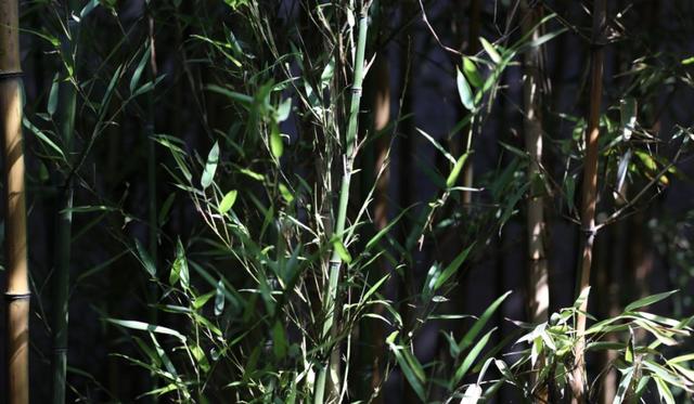 最幸福友情是「多年之後回頭你還在」：不用形影不離，但一定要惺惺相惜