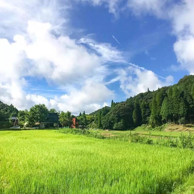 被青山擁抱！一家五口「搬到田野間」遠離都市　孩子與大自然相處「學會尊重萬物」生活愜意自在