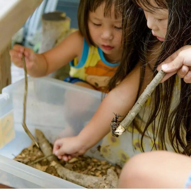 被青山擁抱！一家五口「搬到田野間」遠離都市　孩子與大自然相處「學會尊重萬物」生活愜意自在