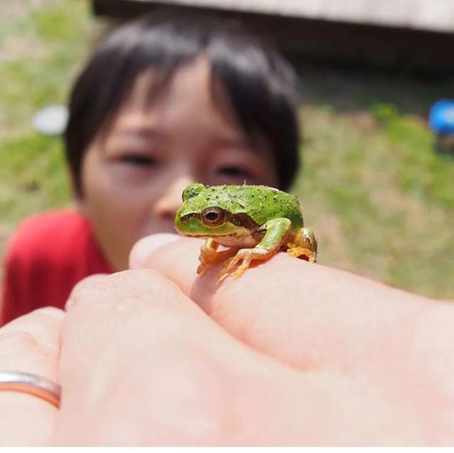 被青山擁抱！一家五口「搬到田野間」遠離都市　孩子與大自然相處「學會尊重萬物」生活愜意自在