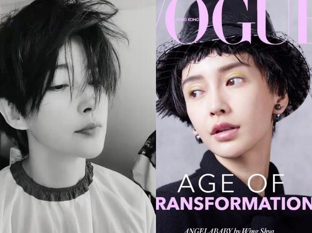 變身帥男友！46歲李冰冰「俐落短髮造型」現身雜誌　身穿西裝眼神霸氣「男人都自嘆不如」