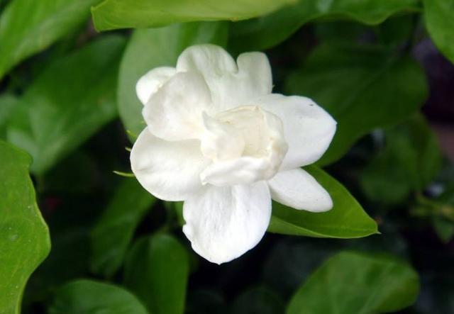 心寬，自然病退（值得一讀）