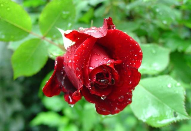 心寬，自然病退（值得一讀）