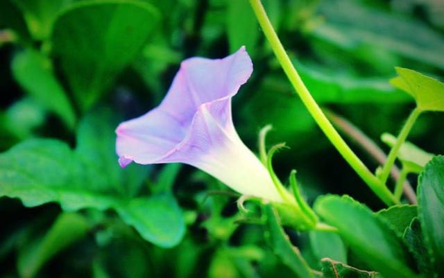 心寬，自然病退（值得一讀）