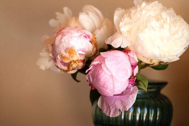 離婚2年後「40歲妻活得漂亮」經濟獨立　「活出自我不靠婚姻」前夫不敢置信：怎麼沒來求我