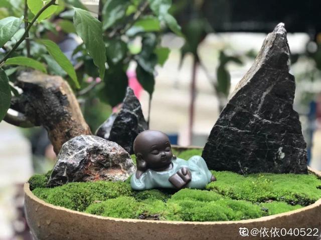 種花比滑手機有趣！夫妻將小菜園「改造成夢幻花圃」　撿回收化廢為寶「成人間仙境」：這老公哪裡找