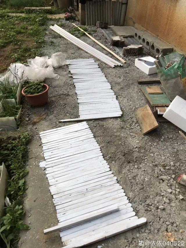 種花比滑手機有趣！夫妻將小菜園「改造成夢幻花圃」　撿回收化廢為寶「成人間仙境」：這老公哪裡找