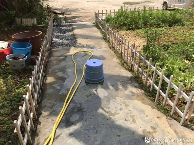 種花比滑手機有趣！夫妻將小菜園「改造成夢幻花圃」　撿回收化廢為寶「成人間仙境」：這老公哪裡找