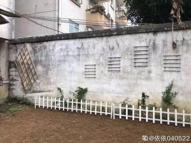種花比滑手機有趣！夫妻將小菜園「改造成夢幻花圃」　撿回收化廢為寶「成人間仙境」：這老公哪裡找
