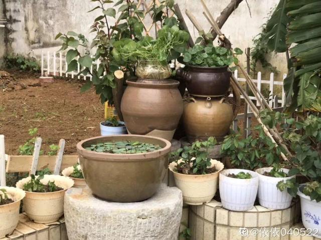 種花比滑手機有趣！夫妻將小菜園「改造成夢幻花圃」　撿回收化廢為寶「成人間仙境」：這老公哪裡找