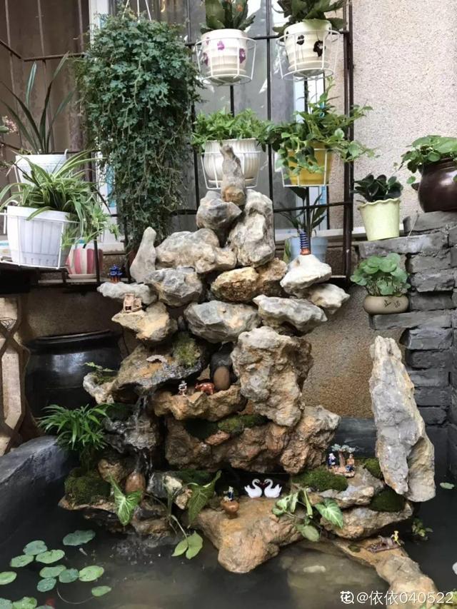 種花比滑手機有趣！夫妻將小菜園「改造成夢幻花圃」　撿回收化廢為寶「成人間仙境」：這老公哪裡找