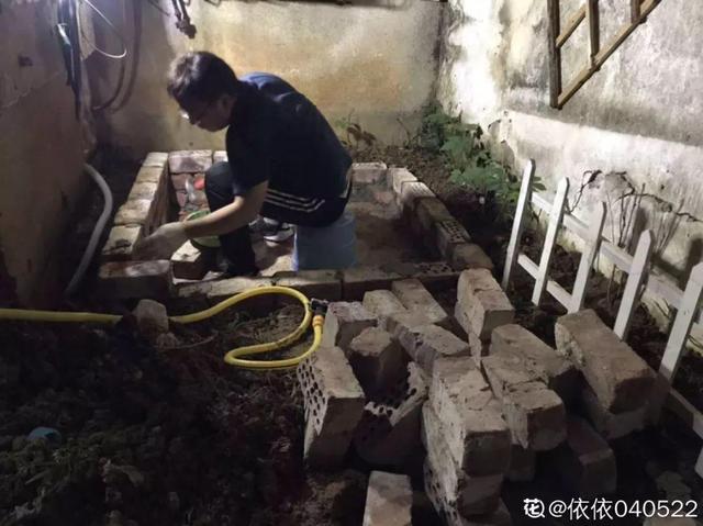 種花比滑手機有趣！夫妻將小菜園「改造成夢幻花圃」　撿回收化廢為寶「成人間仙境」：這老公哪裡找