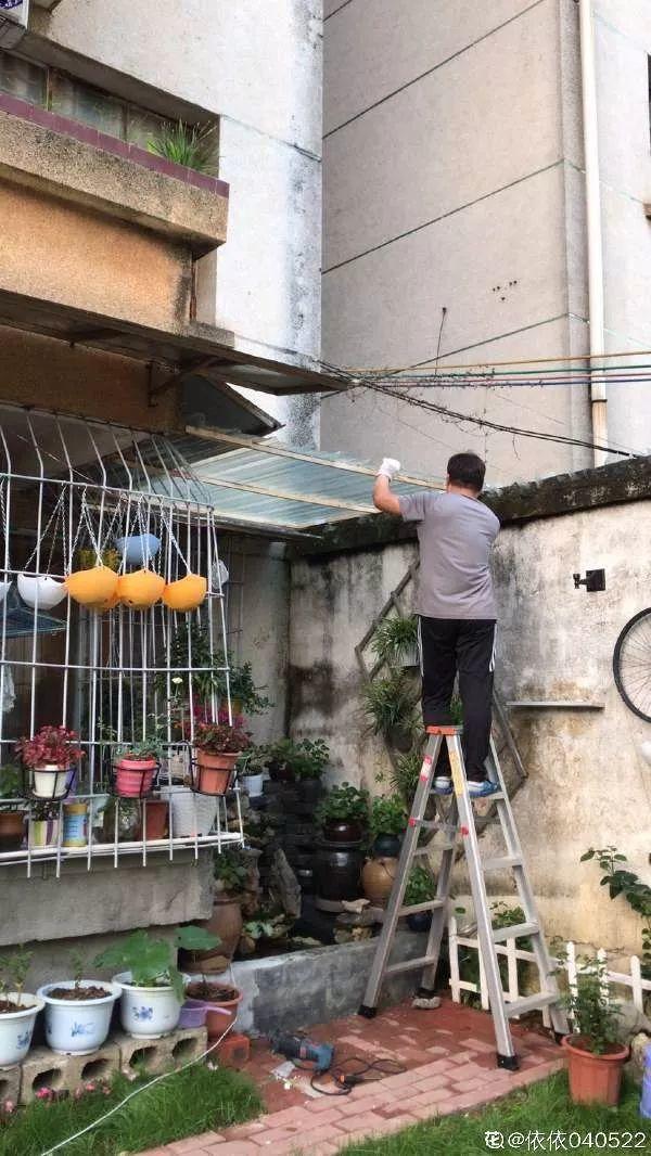 種花比滑手機有趣！夫妻將小菜園「改造成夢幻花圃」　撿回收化廢為寶「成人間仙境」：這老公哪裡找
